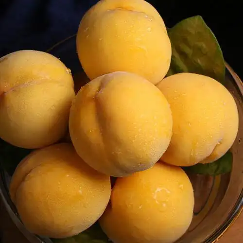 【锦香黄桃】5斤 山东沂蒙黄桃 肉质绵密 入口润滑 清新脆甜 夏令珍品