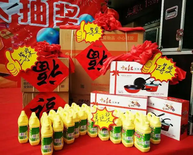 白水邮政分公司"邮储服务年 欢乐大抽奖"走进林皋活动于2019年1月29日