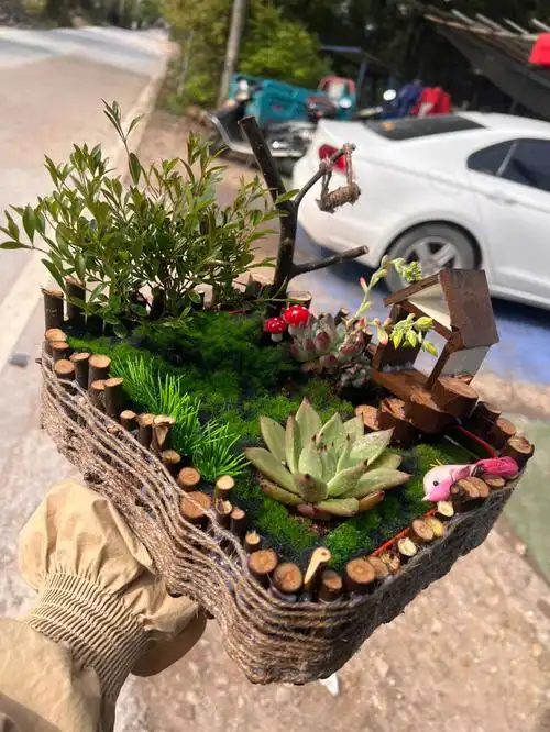 自制多肉花盆废物利用