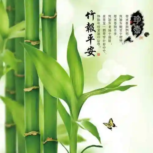 竹报平安192070339头像