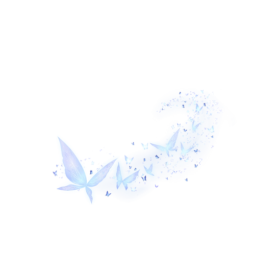 蝴蝶光特效