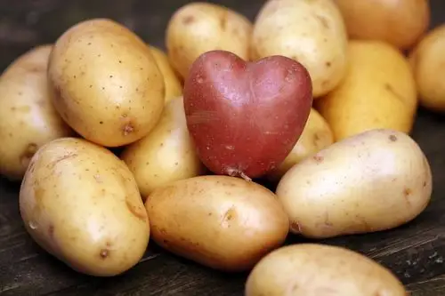 马铃薯滞销阴影来袭,.