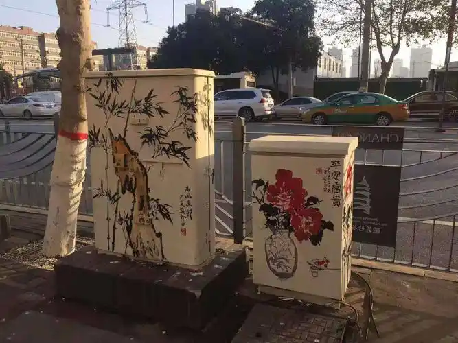 下一步,我们将在保证景观效果的基础上尽快美化城区其余路段配电箱