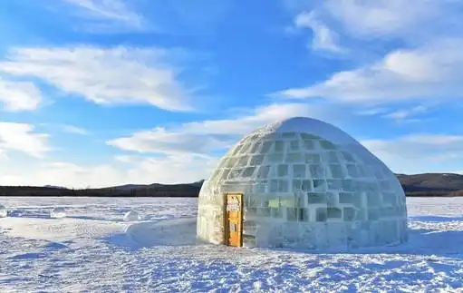 让人不死的机器