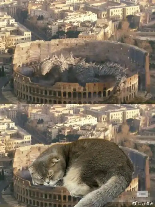 找个地儿睡大觉,但当一察觉到被需要的时候就会不顾一切的奔向你身边