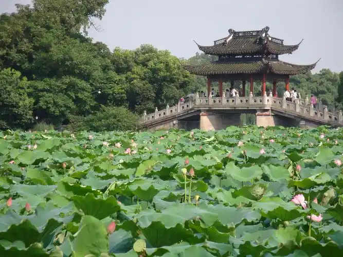 杭州西湖游船,雷峰塔,飞来峰巴士1日跟团游