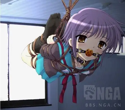 口球  img src="http://img.nga.178.