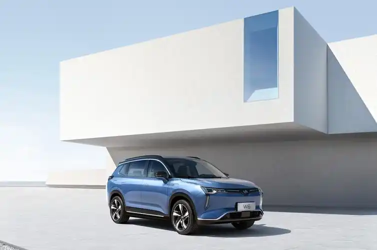 1698万元起如何评价4月16日正式上市的威马w6车型