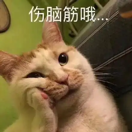 萌宠gif猫星人gif伤脑筋哦gif太难了gif搞怪gif逗gif