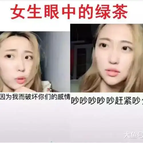 婊绿茶是什么意思啊