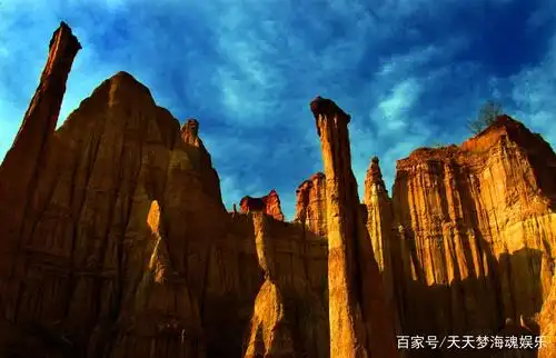 民间图集:新疆阿尔金山自然保护区的卡尔墩草原