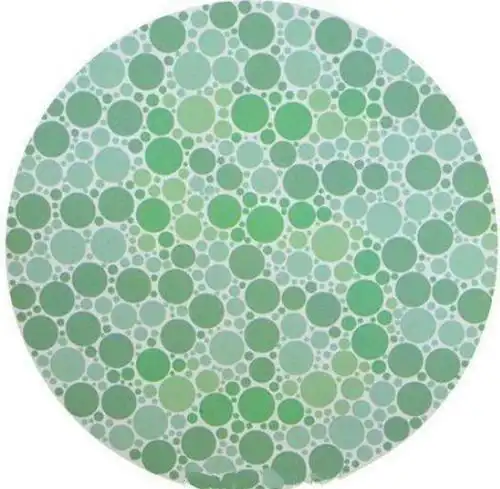 6张色盲检验图,看不出3张,就说明你与驾照无缘