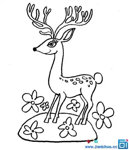 梅花鹿简笔画彩铅正面