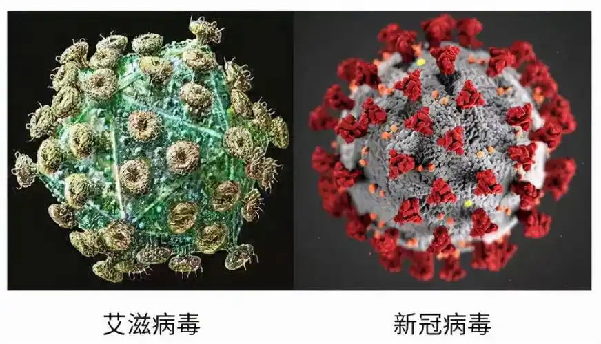 横行40年全球最狡猾的病毒是它柳叶刀使新冠重症几率翻5倍