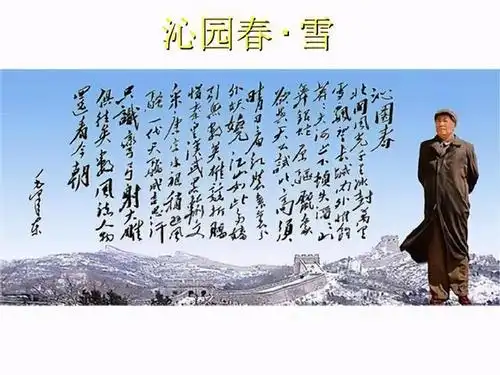 浅析《沁园春 雪》