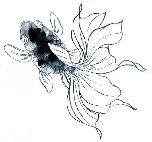 绘画知识工笔画金鱼