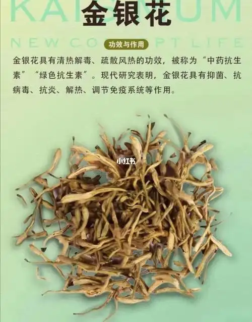 薄荷与陈皮泡水的功效和作用_陈皮泡水喝的功效皮_新会陈皮泡水喝的
