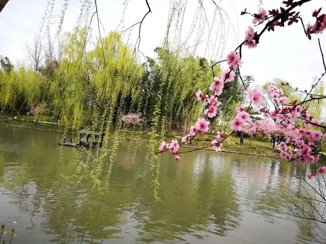 桃红柳绿醉江南,扬州瘦西湖的春天,美极了!