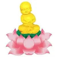 佛头像图片大全莲花_微信头像图片大全