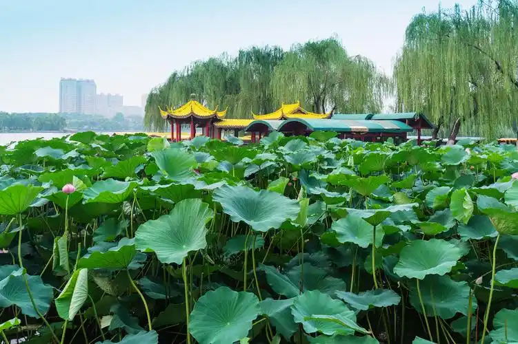 济南图片大全_济南风景图片/景点照片/旅游摄影【驴妈妈攻略】