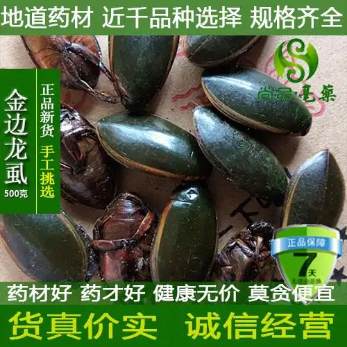 金边龙虱干货野生水蟑螂中药材药食水鳖虫酒甲虫射尿龟500g包邮