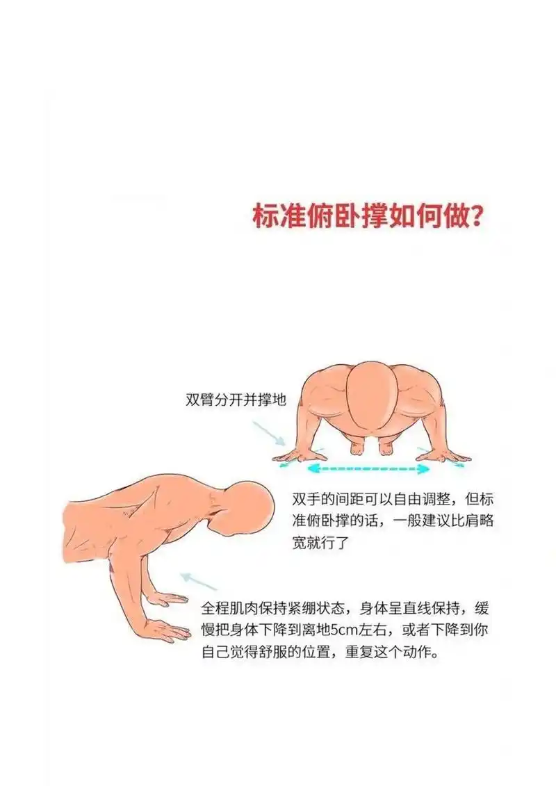 俯卧撑-身体姿势/手腕/关节/角度87正确图解 俯卧撑知识