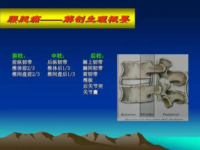 腰腿痛及颈肩痛ppt