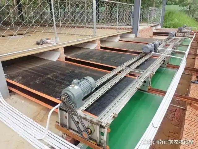 羊粪清理的"战斗机",输送带清粪令传统清粪方式汗颜