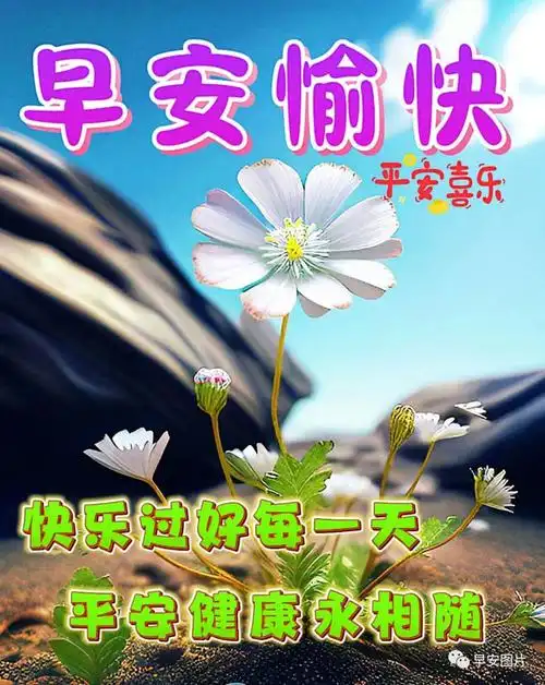 2023年7月28日星期五早上好早安漂亮图片问候祝福语