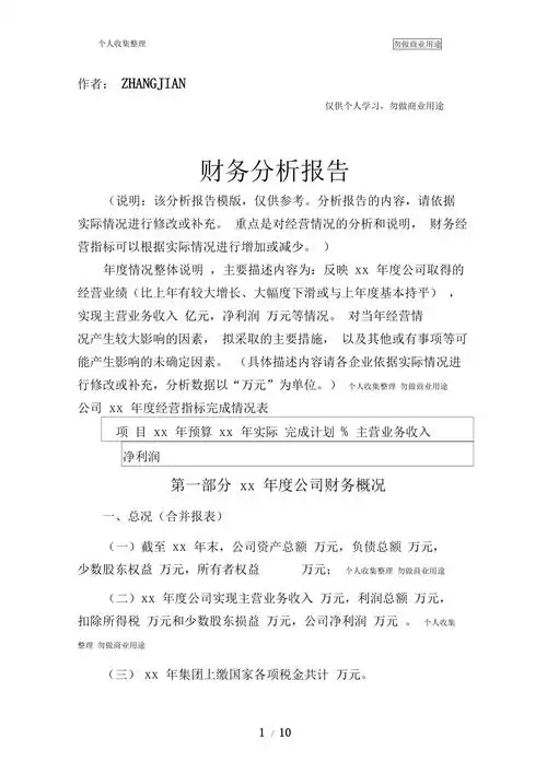 年财务报告-模板11