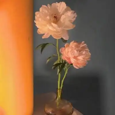 花朵头像唯美图片 女性中年人微信头像