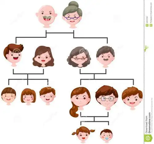 一家人的家谱图简笔画