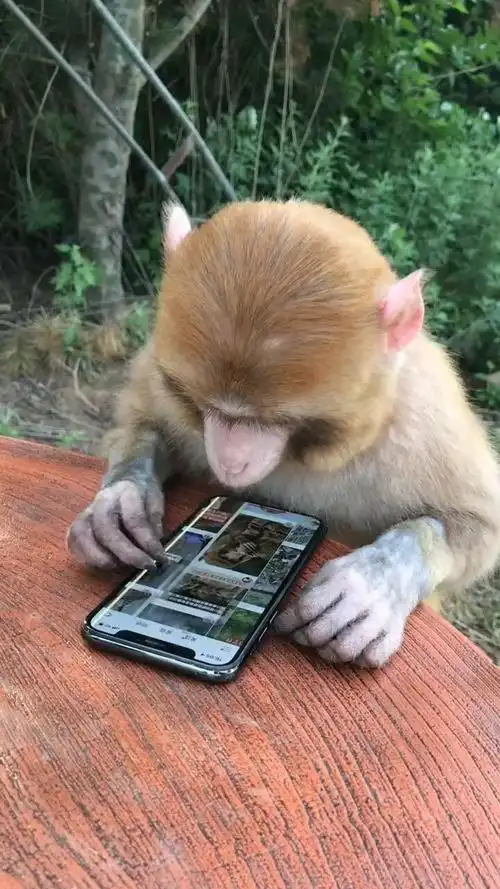 720_1280竖版 竖屏