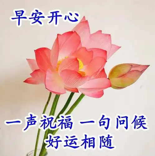 中老年表情包,早安朋友,天冷了,记得保暖哦!