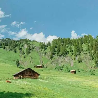 中年人头像风景图片适合中年人微信头像