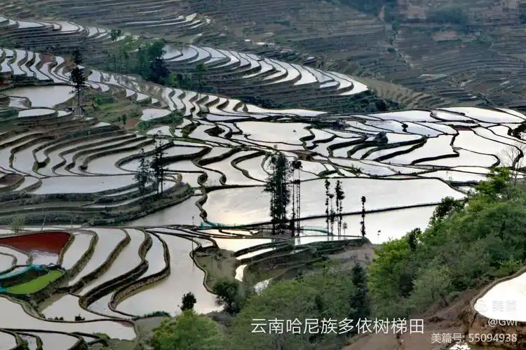 云南哈尼梯田篇