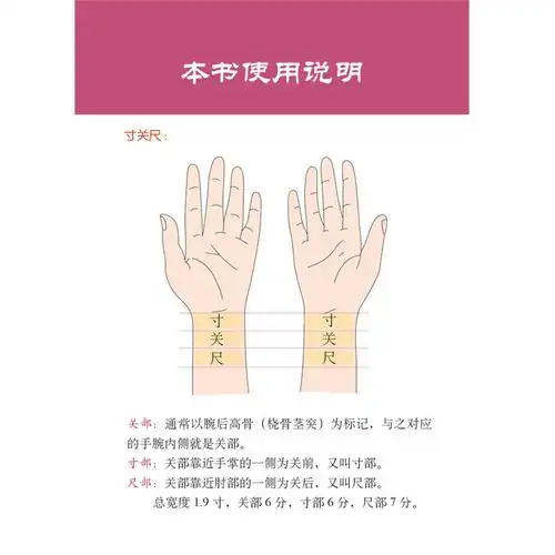 中医脉诊一点通