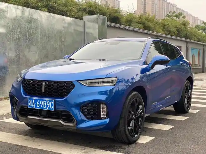 18年长城魏派vv7  2.