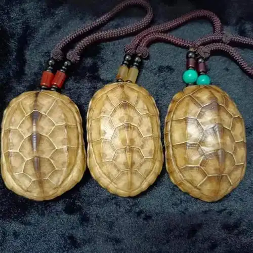 乌龟壳摆件2022新款文玩干净真乌龟壳把玩盘玩手把件完整真龟甲家居