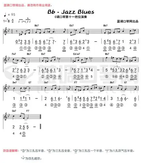 张晓松蓝调口琴/吉他