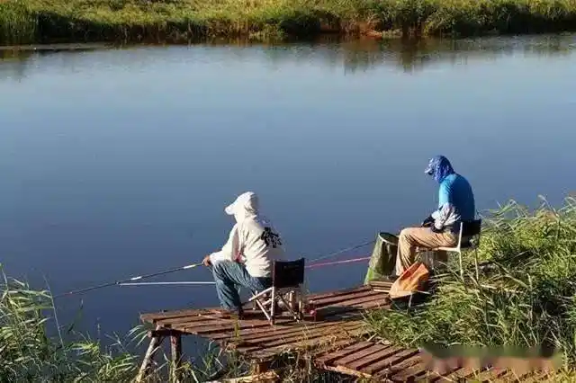 学会这三点去收费鱼塘钓鱼鱼塘老板会把你列入黑名单