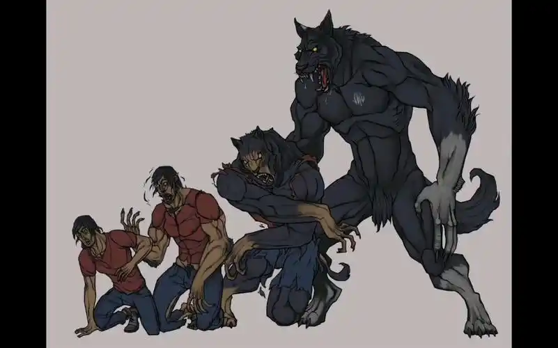 transfur(兽化)～狼人