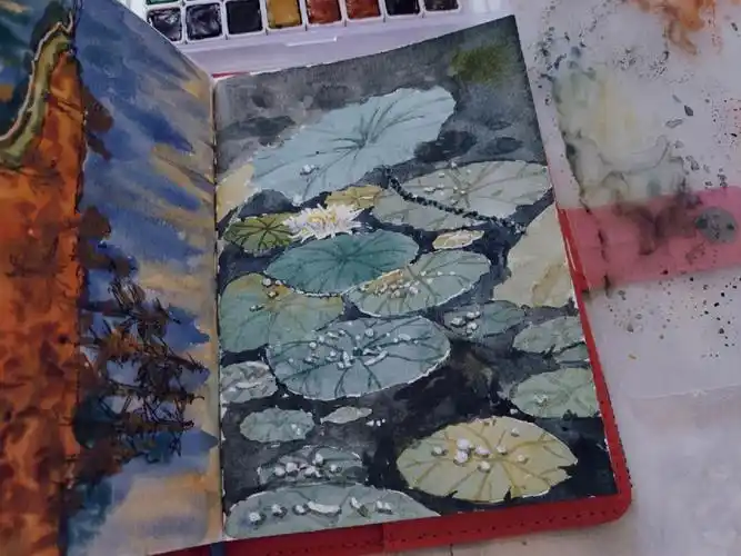 第二次画荷叶啦比上次强了一点