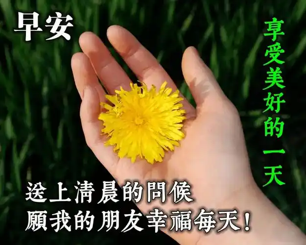 朋友圈早安问候语图片带字周一清晨唯美的早晨祝福图片表情