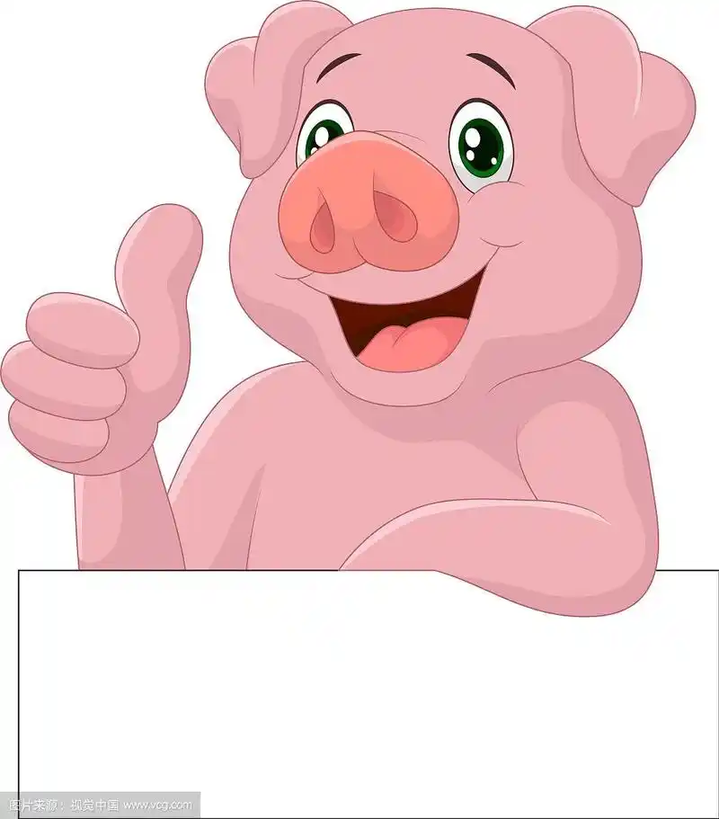 猪竖起大拇指
