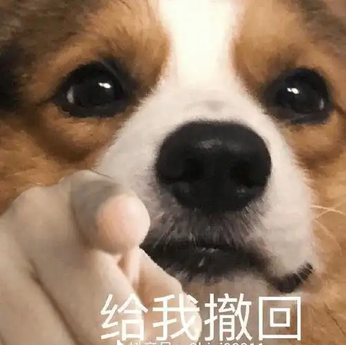 谁有二哈指人的表情包