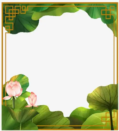 中国风荷花荷叶边框