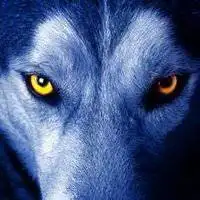 霸气凶残的狼的头像【点击鼠标右键下载】