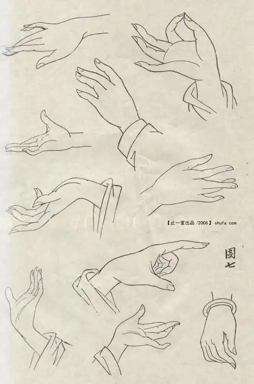 赠人与鱼不如授人以渔工笔兰花步骤