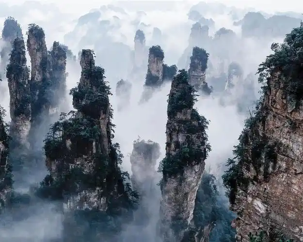 张家界国家森林公园,中国,悬崖,山,雾 壁纸 - 1280x1024